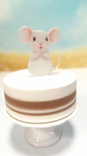 Video post from babybonnet_backdrops.