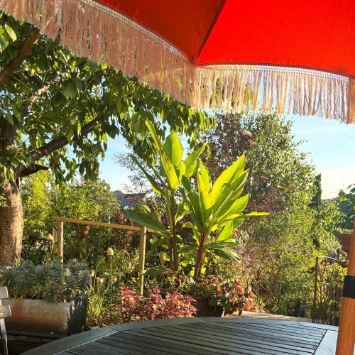 Photo post from gardenhousebrighton.