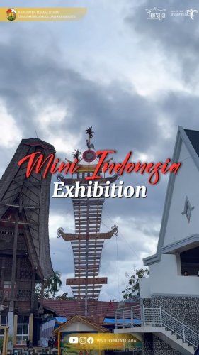 Video post from visittorajautara.