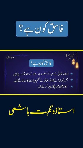 Video post from nighathashmi.