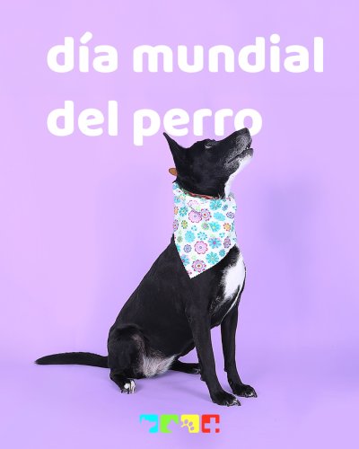 Photo post from medicalpettj.