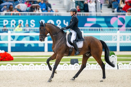 Photo post from fei_global.