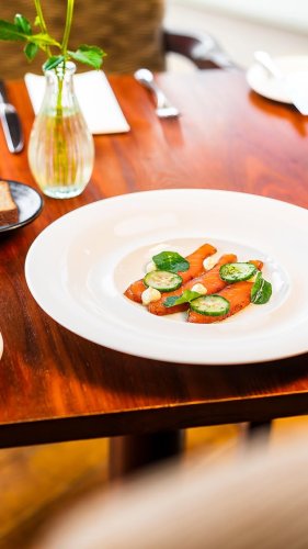 Video post from themoathouse.