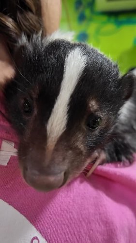 Video post from njexoticpets.