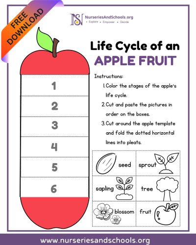 Photo post from nurseriesandschoolsorg.