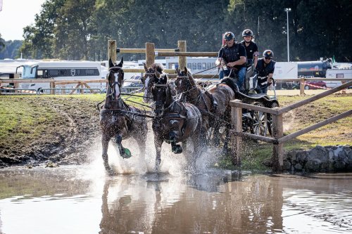 Carousel post from fei_global.
