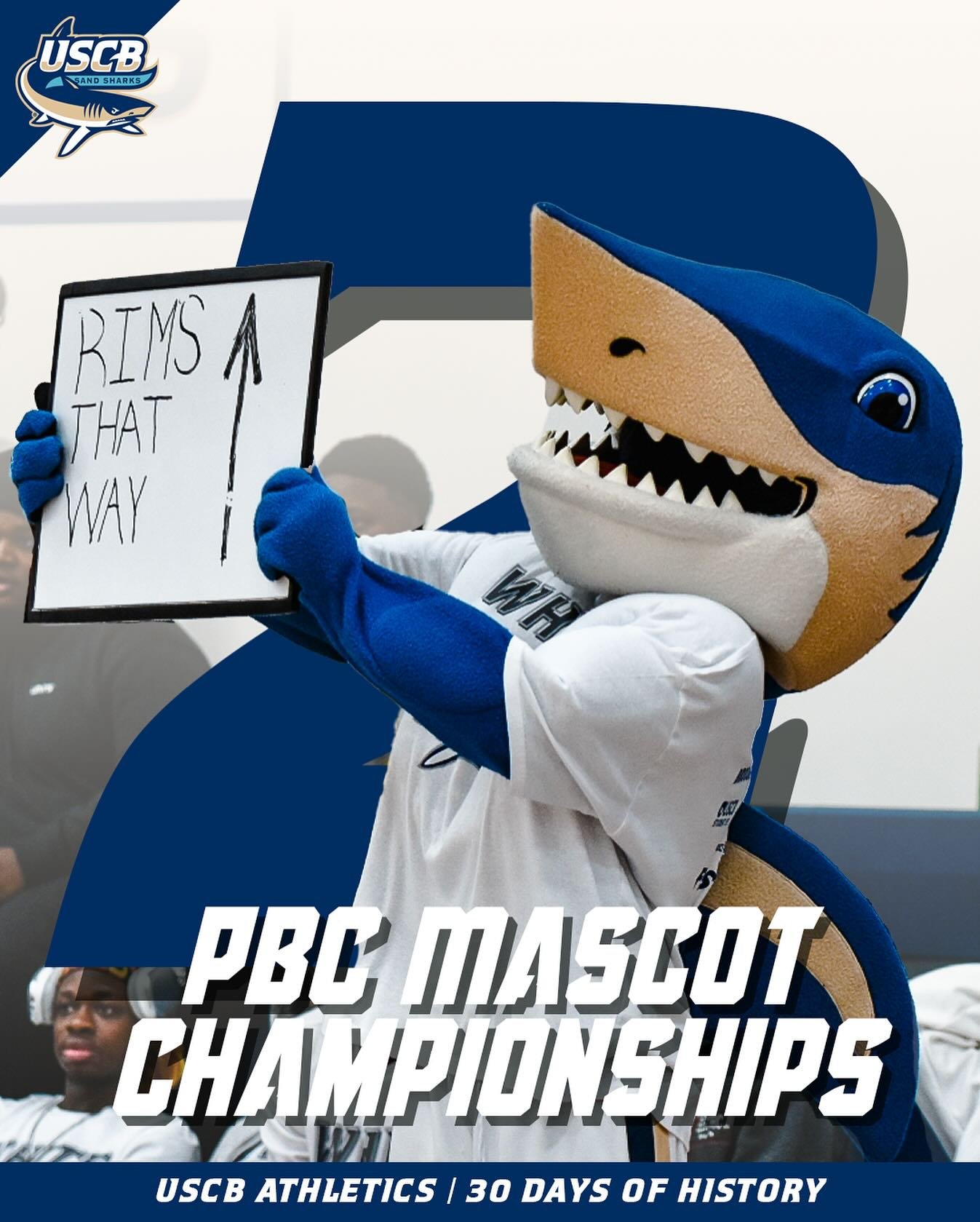 Photo post from uscbsandsharks.