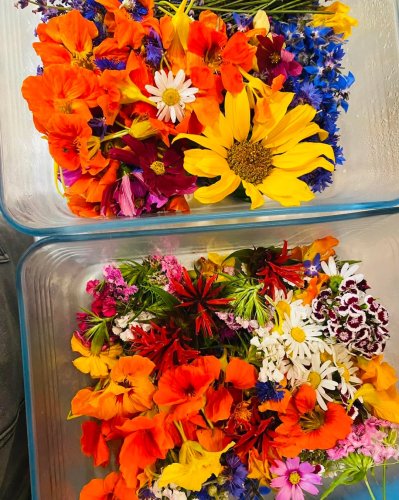 Carousel post from miditreizepontarlier.