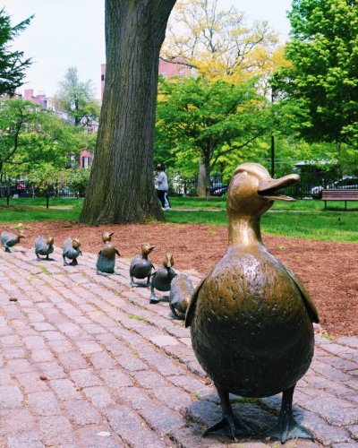 Photo post from bostoncollege.