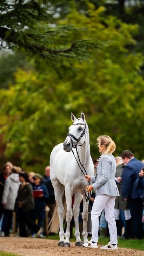 Video post from fei_global.