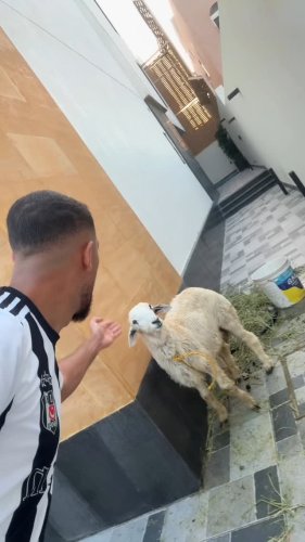Video post from omar_abuz.