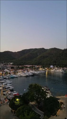 Video post from jandewit.4848.