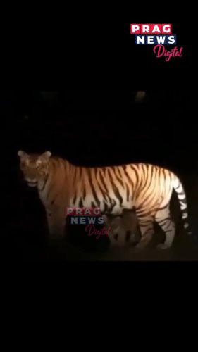Video post from pragnewsofficial.