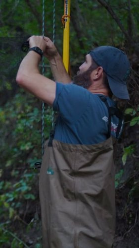 Video post from negameandparks.