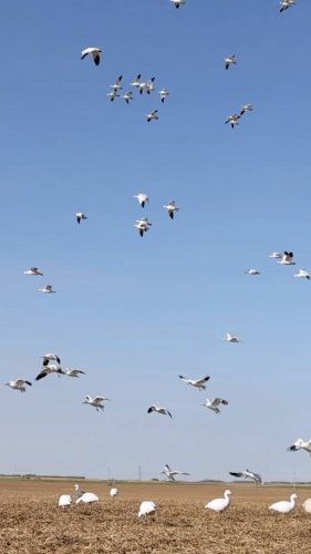 Video post from northernskiesoutfitters.