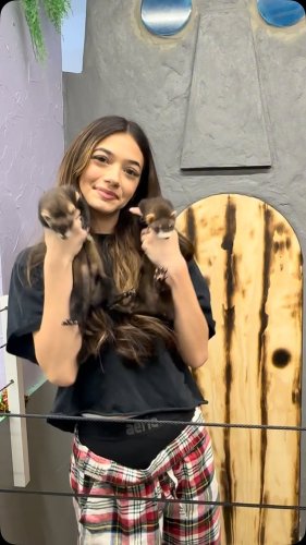 Video post from njexoticpets.