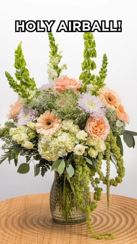 Video post from thefamilyflowers.