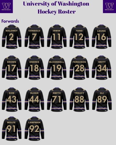 Carousel post from uw_icehockey.