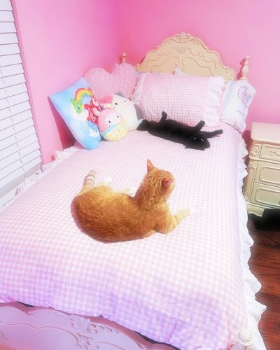 Carousel post from margaritabloom.