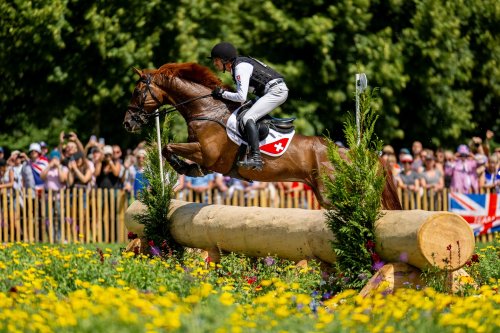 Photo post from fei_global.