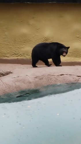 Video post from riseandroadtrip.