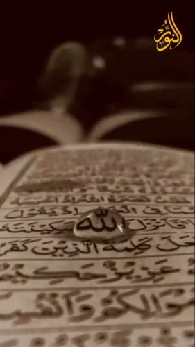 Video post from nighathashmi.