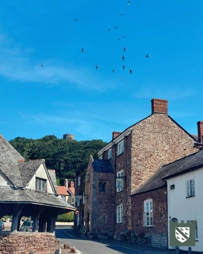 Photo post from luttrellarms.