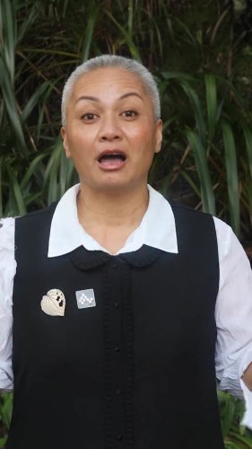Video post from nzgreenparty.
