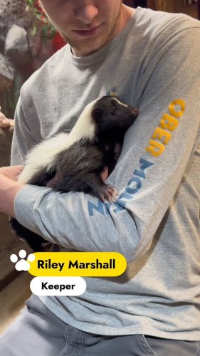 Video post from obermountain.