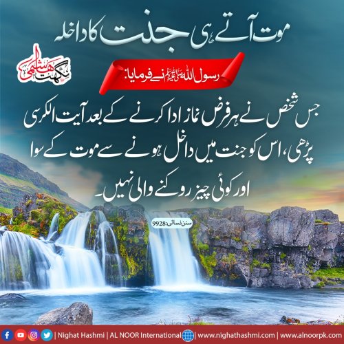 Photo post from nighathashmi.