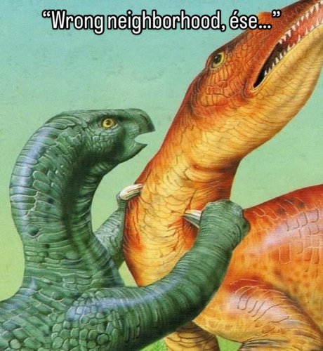 Photo post from cooperative_trex.