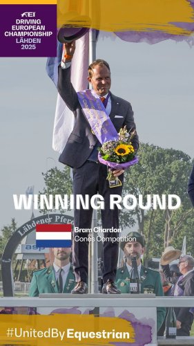 Video post from fei_global.