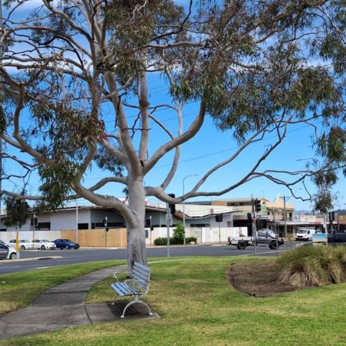 Photo post from alburycity.