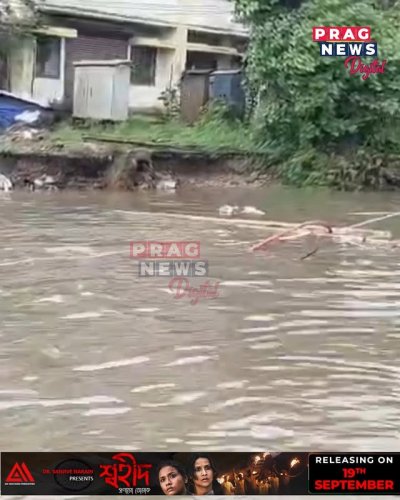 Video post from pragnewsofficial.