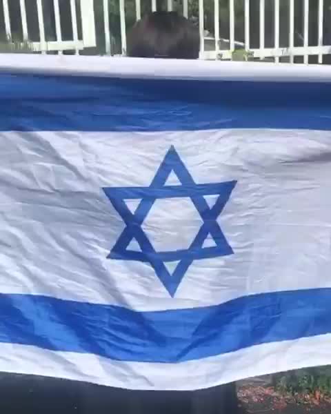 Video post from tjjlions.