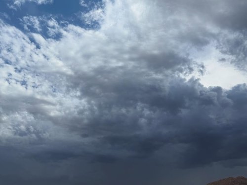 Photo post from ucrbotanicgardens.