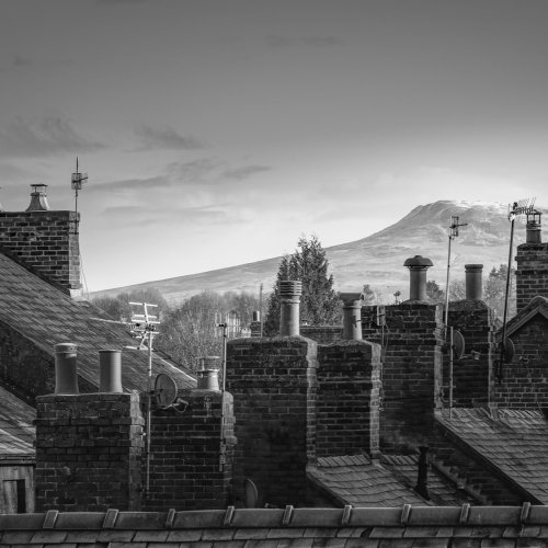Photo post from rpslandscape.