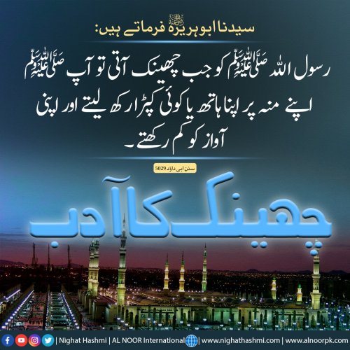 Photo post from nighathashmi.