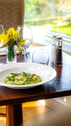 Video post from themoathouse.