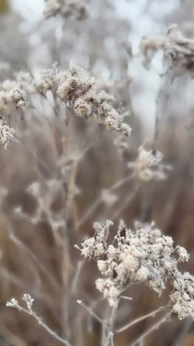 Video post from sussexprairies.