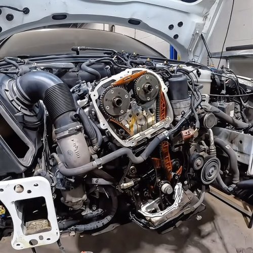 Video post from ambvag.
