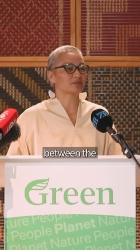 Video post from nzgreenparty.