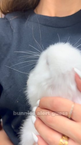 Video post from njexoticpets.