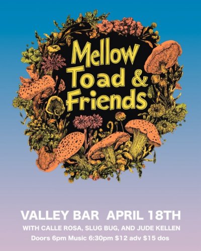 Photo post from mellow.toad.