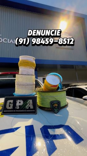 Video post from ananindeuapma.