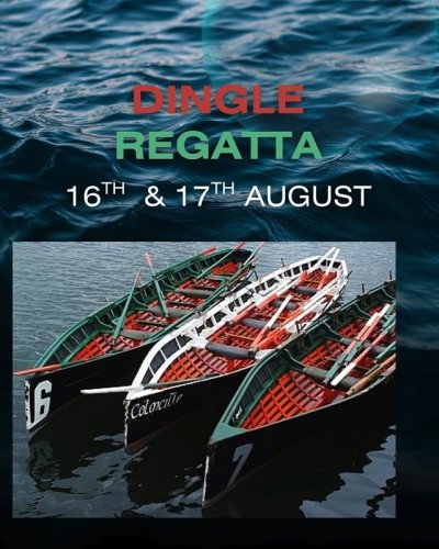 Video post from dinglepeninsulatourism.