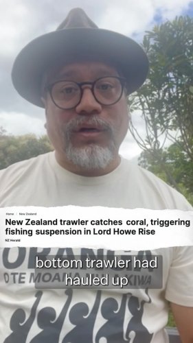 Video post from nzgreenparty.