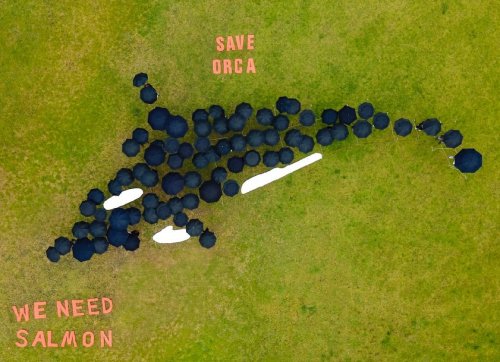 Carousel post from finnriver.