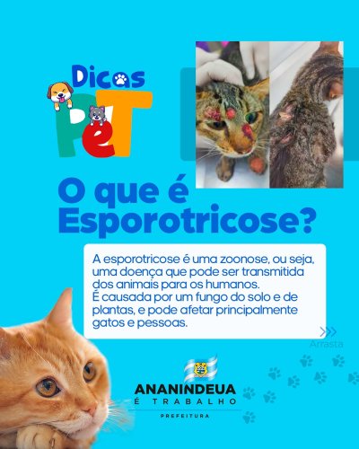 Carousel post from ananindeuapma.