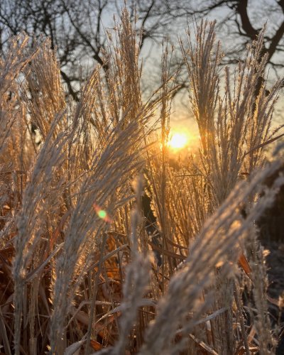 Photo post from sussexprairies.